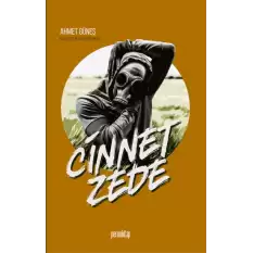 Cinnetzede