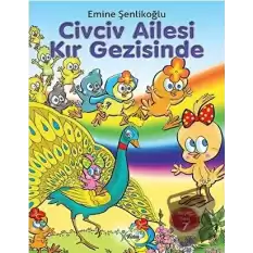 Civciv Ailesi Kır Gezisinde