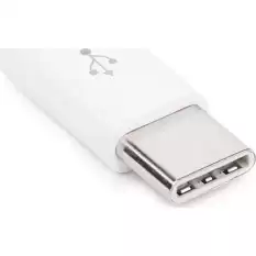 Dark Usb Type C Erkek Micro Usb Dişi Çevirici