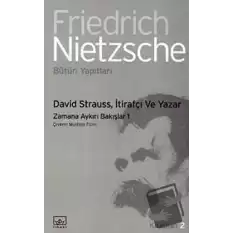 David Strauss, İtirafçı ve Yazar