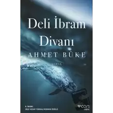 Deli İbram Divanı