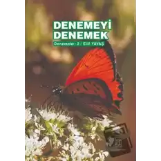 Denemeyi Denemek