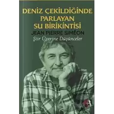 Deniz Çekildiğinde Parlayan Su Birikintisi