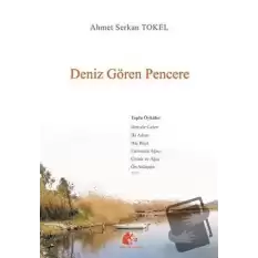 Deniz Gören Pencere