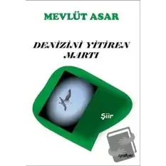 Denizini Yitiren Martı