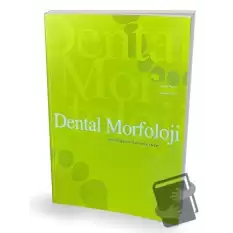 Dental Morfoloji