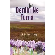 Derdin Ne Turna