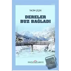 Dereler Buz Bağladı