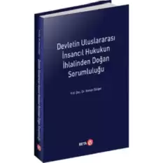 Devletin Uluslararası İnsancıl Hukukun İhlalinden Doğan Sorumluluğu