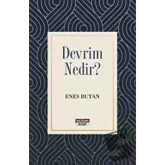 Devrim Nedir?