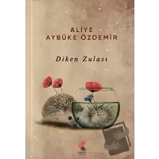 Diken Zulası