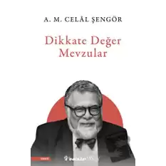 Dikkate Değer Mevzular