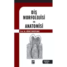 Diş Morfolojisi Ve Anatomisi