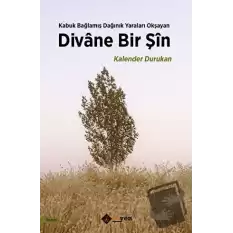 Divane Bir Şin