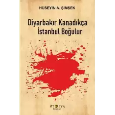 Diyarbakır Kanadıkça İstanbul Boğulur