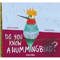 Do You Know A Hummingbird?