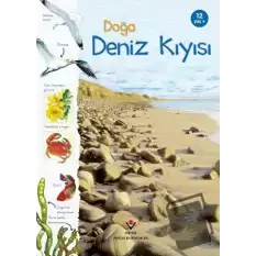 Doğa: Deniz Kıyısı