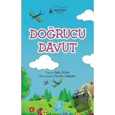 Doğrucu Davut