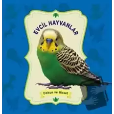 Dokun ve Hisset: Evcil Hayvanlar