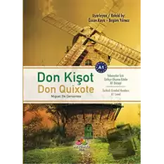 Don Kişot