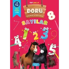 Doru Etkinlik ve Boyama - Sayılar