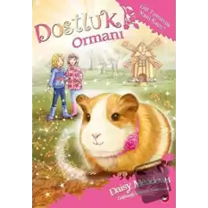 Dostluk Ormanı - 8 / Gül Tomurcuk Nasıl Kaçtı?