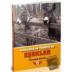 Dünyada Ve Türkiye’de Eşekler