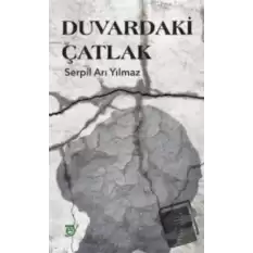 Duvardaki Çatlak