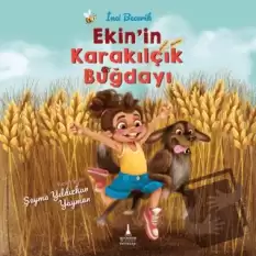 Ekin’in Karakılçık Buğdayı