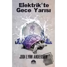 Elektrikte Gece Yarısı