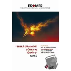 Enerji Güvenliği : Dünya ve Türkiye Paneli 2010