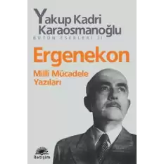 Ergenekon: Milli Mücadele Yazıları