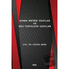 Esnek Metrik Uzaylar ve İkili Topolojik Uzaylar