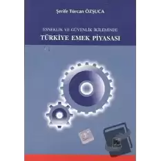 Esneklik ve Güvenlik İkileminde Türkiye Emek Piyasası