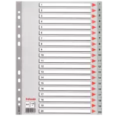 Esselte Seperatör 1-20 Rakamlı Plastik A4 100107