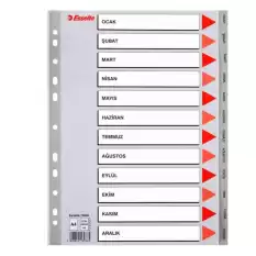 Esselte Seperatör Aylar Plastik A4 13936