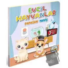 Evcil Hayvanlar Papağan Maviş