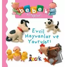 Evcil Hayvanlar ve Yavruları (Ciltli)