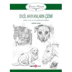 Evcil Hayvanların Çizimi - Çizim Sanatı 9