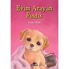 Evini Arayan Fındık