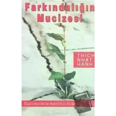 Farkındalığın Mucizesi