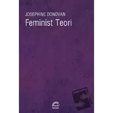 Feminist Teori