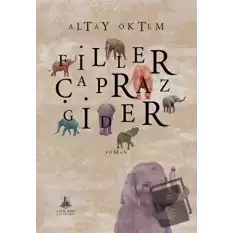 Filler Çapraz Gider