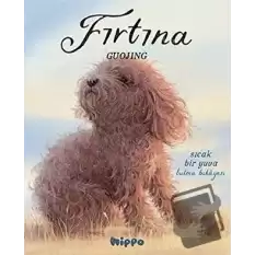 Fırtına