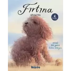 Fırtına