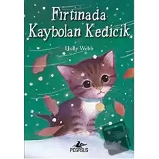 Fırtınada Kaybolan Kedicik