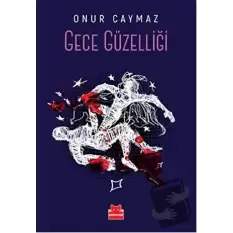 Gece Güzelliği