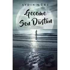 Geceme Sen Düştün