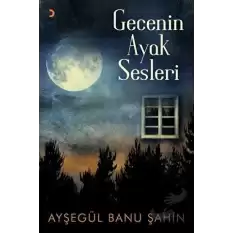 Gecenin Ayak Sesleri