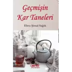 Geçmişin Kar Taneleri